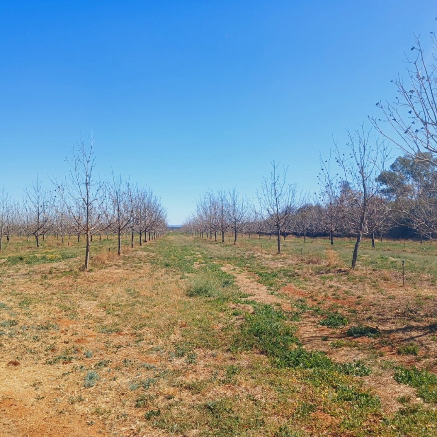  Bedroom Property for Sale in Hartswater Rural Northern Cape